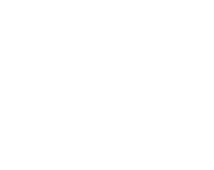 Dataport