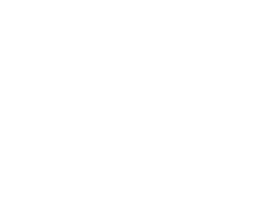 Bracenet