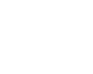 HiTec