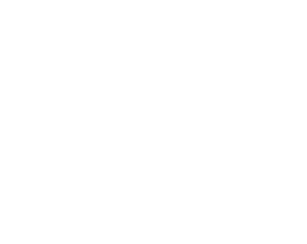 AI.Group