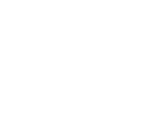 Connected Urban Twins