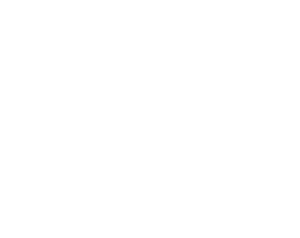 Aric