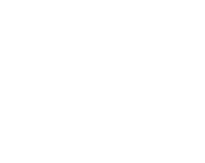 they consulting