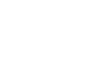 Bracenet