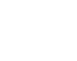 HiTec