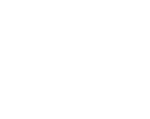Startup City HH