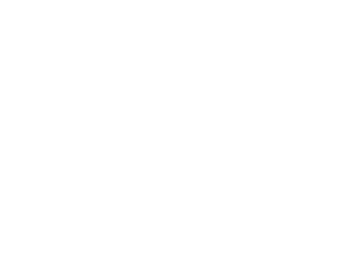 AI.Group