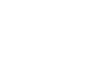 Netlight