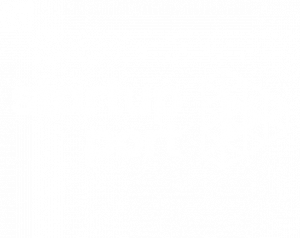 startup port