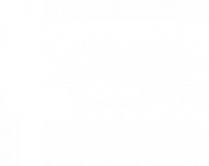 they consulting